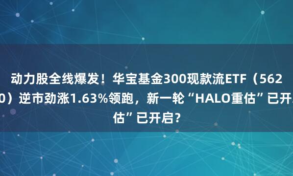 动力股全线爆发！华宝基金300现款流ETF（562080）逆市劲涨1.63%领跑，新一轮“HALO重估”已开启？