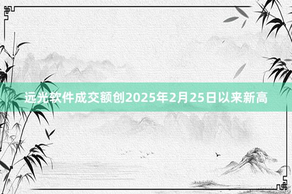 远光软件成交额创2025年2月25日以来新高