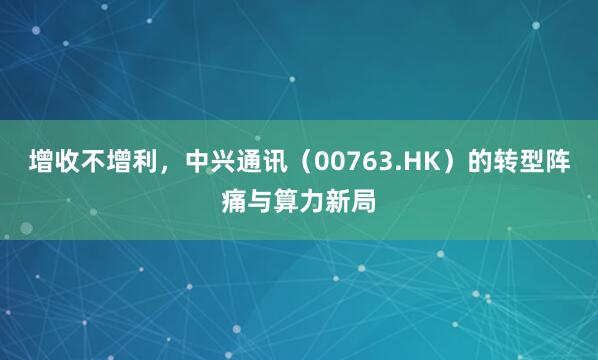 增收不增利，中兴通讯（00763.HK）的转型阵痛与算力新局
