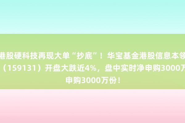 港股硬科技再现大单“抄底”！华宝基金港股信息本领ETF（159131）开盘大跌近4%，盘中实时净申购3000万份！