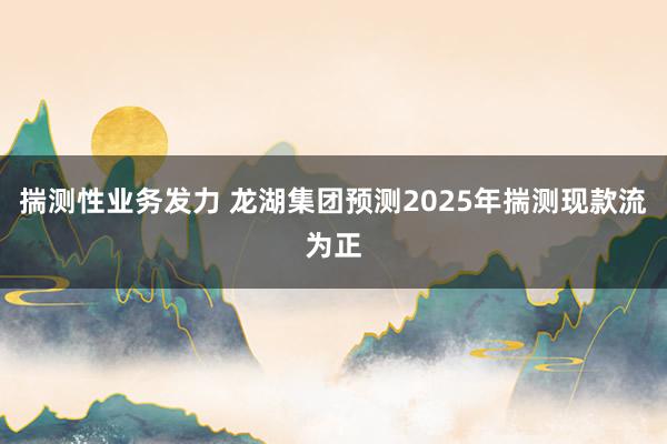 揣测性业务发力 龙湖集团预测2025年揣测现款流为正