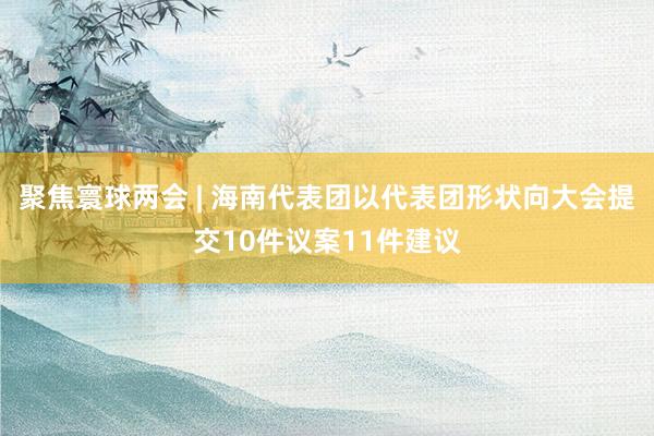 聚焦寰球两会 | 海南代表团以代表团形状向大会提交10件议案11件建议