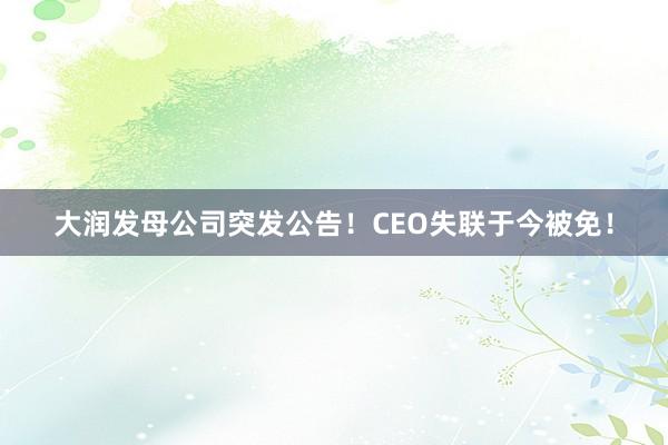 大润发母公司突发公告！CEO失联于今被免！
