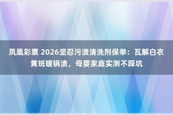 凤凰彩票 2026坚忍污渍清洗剂保举：瓦解白衣黄斑暖锅渍，母婴家庭实测不踩坑
