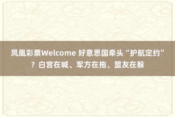 凤凰彩票Welcome 好意思国牵头“护航定约”？白宫在喊、军方在拖、盟友在躲