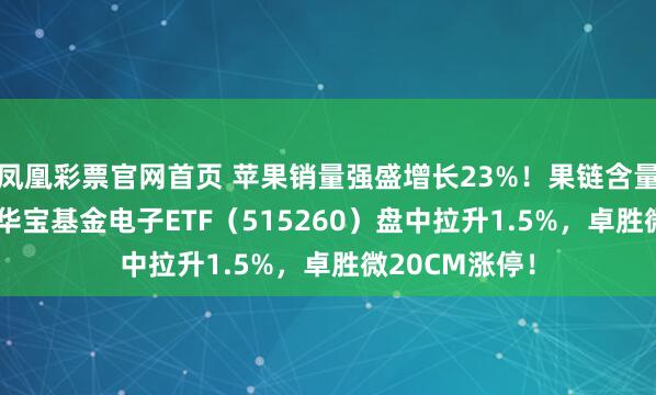 凤凰彩票官网首页 苹果销量强盛增长23%！果链含量超46%的——华宝基金电子ETF（515260）盘中拉升1.5%，卓胜微20CM涨停！