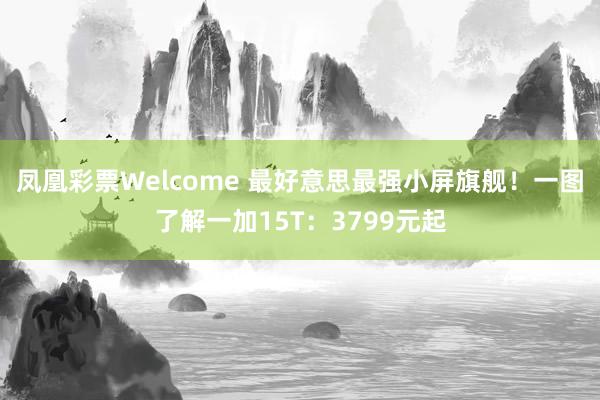 凤凰彩票Welcome 最好意思最强小屏旗舰！一图了解一加15T：3799元起