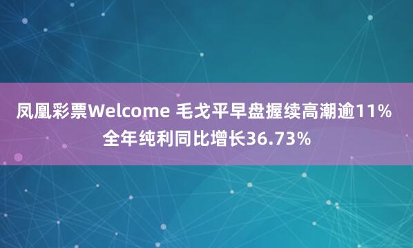 凤凰彩票Welcome 毛戈平早盘握续高潮逾11% 全年纯利同比增长36.73%
