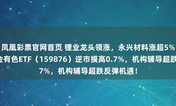 凤凰彩票官网首页 锂业龙头领涨，永兴材料涨超5%！华宝基金有色ETF（159876）逆市摸高0.7%，机构辅导超跌反弹机遇！