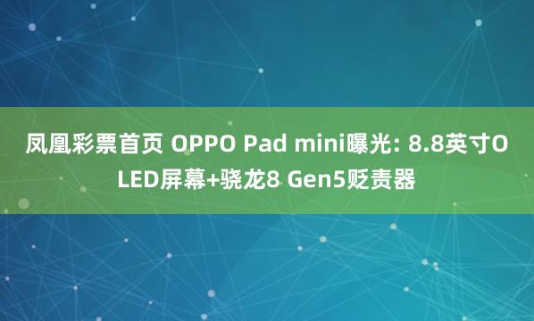 凤凰彩票首页 OPPO Pad mini曝光: 8.8英寸OLED屏幕+骁龙8 Gen5贬责器