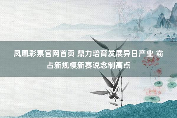 凤凰彩票官网首页 鼎力培育发展异日产业 霸占新规模新赛说念制高点