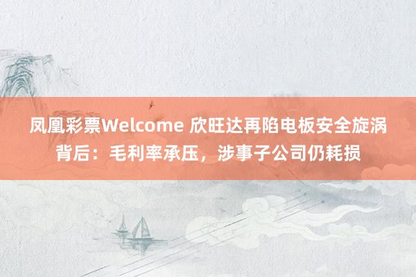 凤凰彩票Welcome 欣旺达再陷电板安全旋涡背后：毛利率承压，涉事子公司仍耗损
