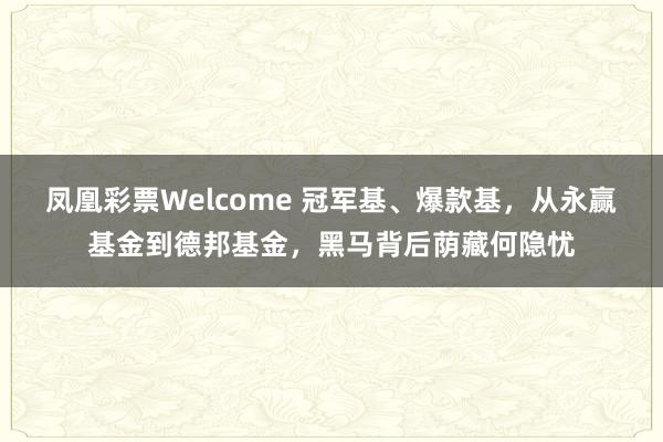凤凰彩票Welcome 冠军基、爆款基，从永赢基金到德邦基金，黑马背后荫藏何隐忧
