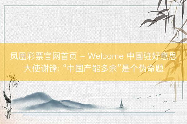 凤凰彩票官网首页 - Welcome 中国驻好意思大使谢锋: “中国产能多余”是个伪命题