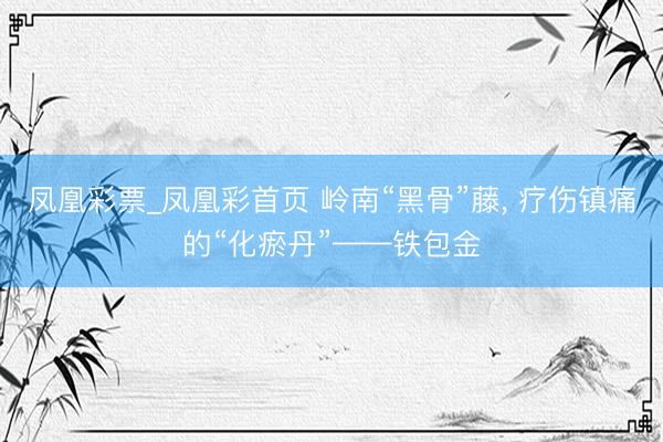 凤凰彩票_凤凰彩首页 岭南“黑骨”藤， 疗伤镇痛的“化瘀丹”——铁包金