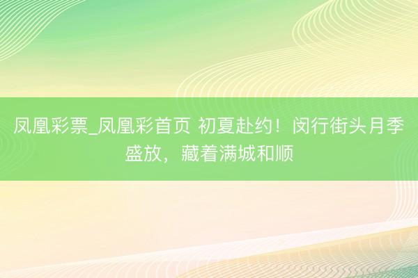 凤凰彩票_凤凰彩首页 初夏赴约！闵行街头月季盛放，藏着满城和顺