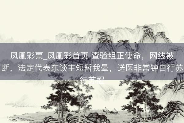 凤凰彩票_凤凰彩首页 查验组正使命，网线被剪断，法定代表东谈主短暂我晕，送医非常钟自行苏醒