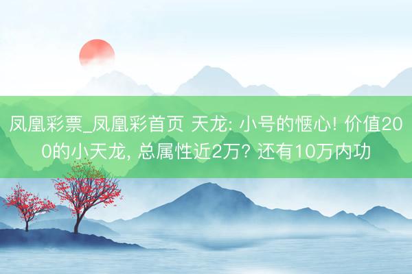 凤凰彩票_凤凰彩首页 天龙: 小号的惬心! 价值200的小天龙， 总属性近2万? 还有10万内功