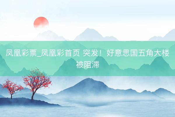 凤凰彩票_凤凰彩首页 突发！好意思国五角大楼被阻滞
